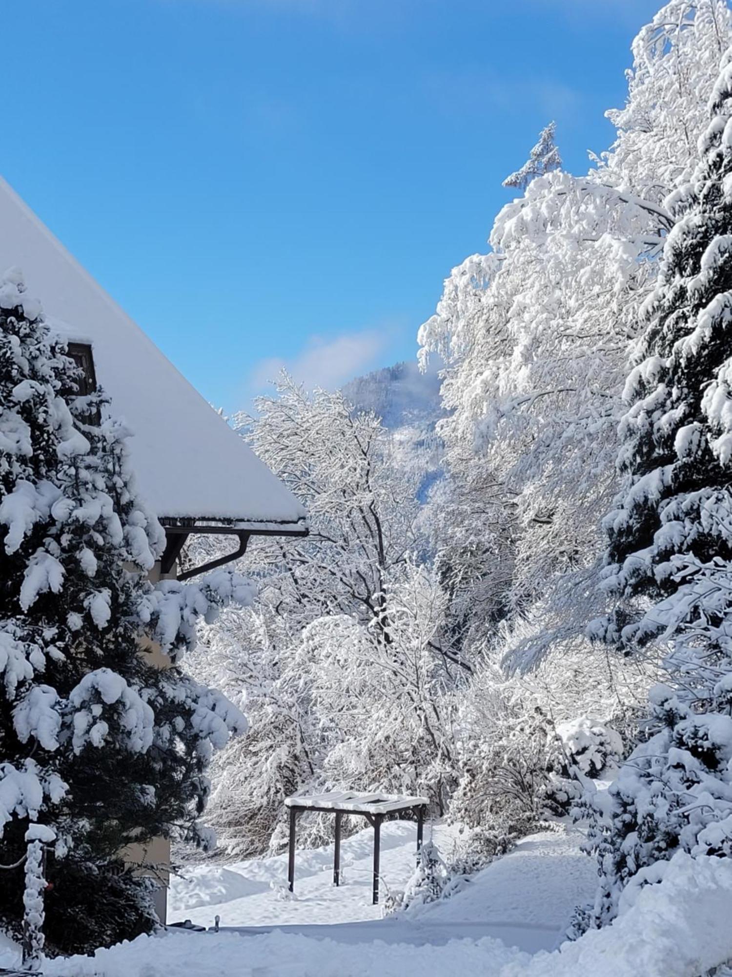 Jaeger Guesthouse Annenheim Zewnętrze zdjęcie