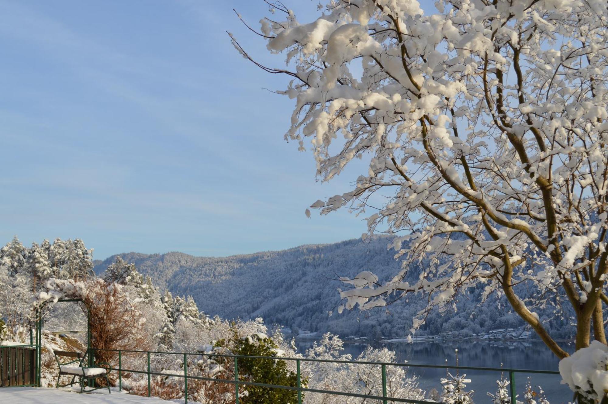 Jaeger Guesthouse Annenheim Zewnętrze zdjęcie